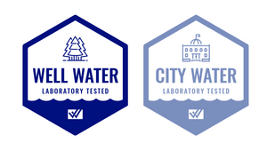 City and Water Icon